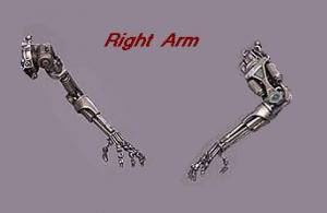 Right_Arm_1_.jpg