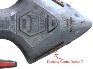 Dorsal_7.JPG